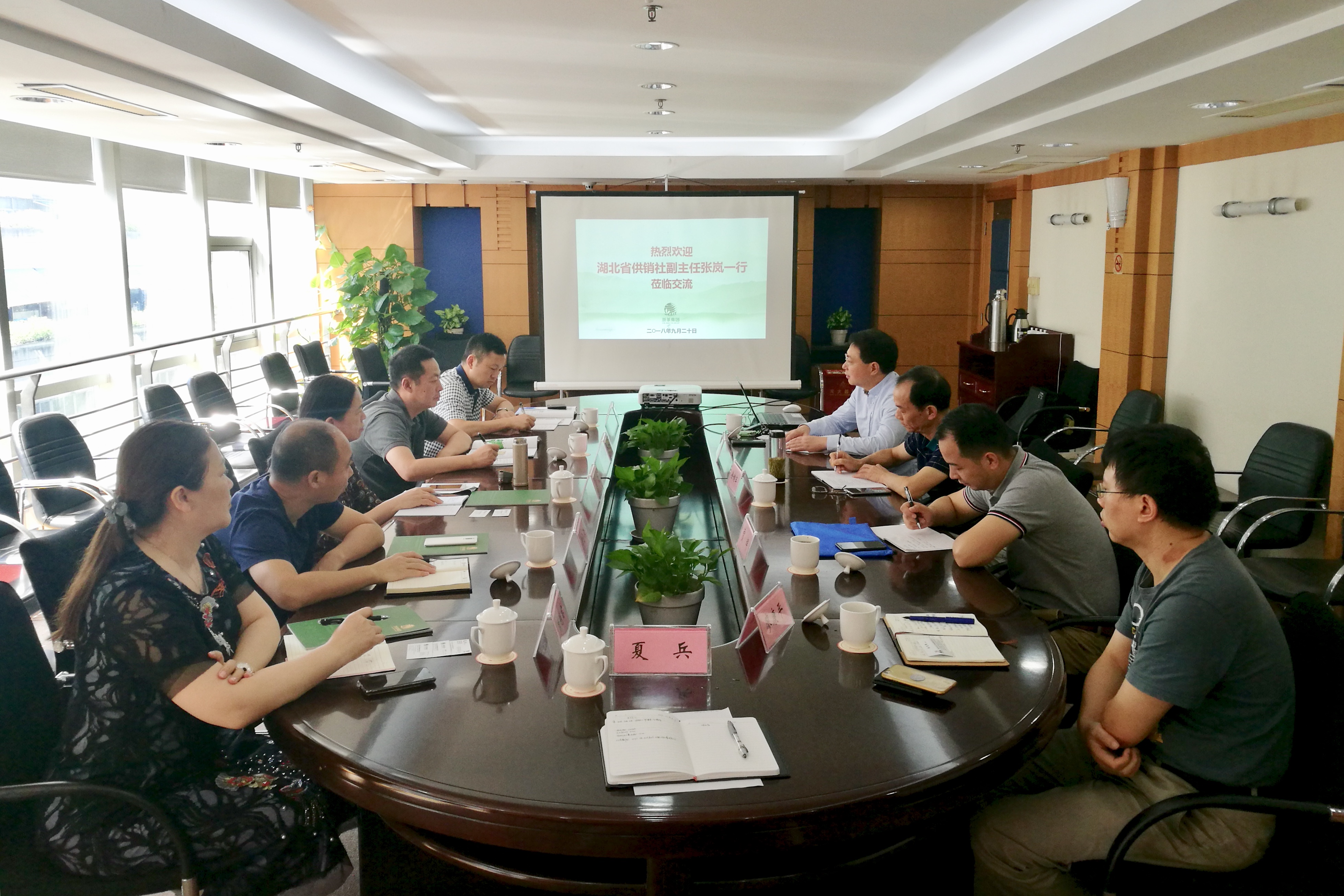 湖北省供銷(xiāo)社張嵐副主任一行蒞臨浙茶集團考察交流