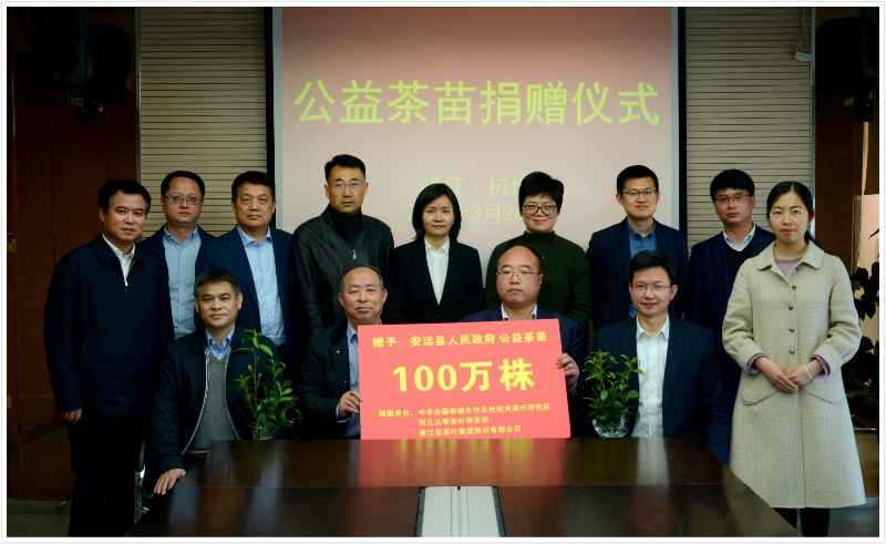 浙茶集團聯(lián)合捐贈百萬(wàn)株公益茶苗  助力江西省安遠縣脫貧攻堅