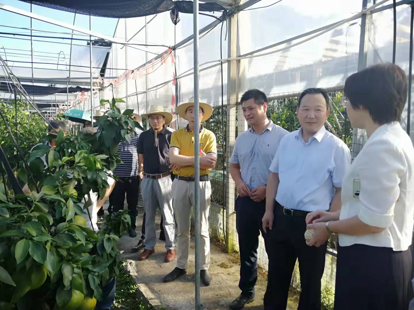 省政協(xié)農業(yè)和農村界別一組至象山開(kāi)展“雙強”行動(dòng)考察調研界別活動(dòng)