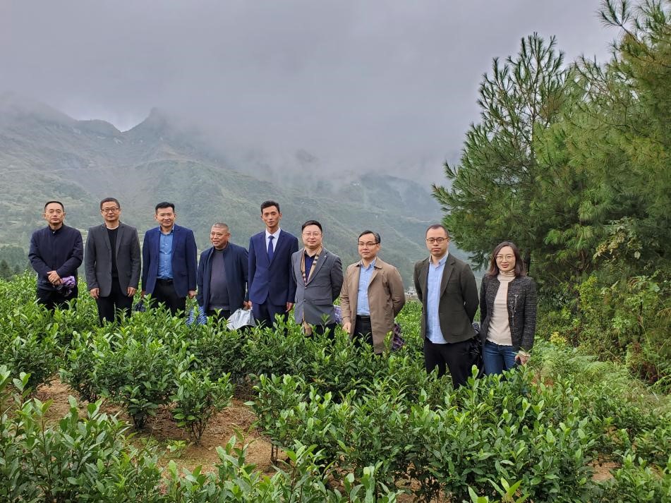 以茶為媒助推鄉村振興——集團黨委書(shū)記陳星帶隊赴川黔“白葉一號”受捐地及周邊考察交流