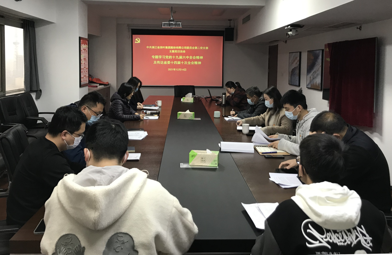 集團第二黨支部組織專(zhuān)題學(xué)習黨的十九屆六中全會(huì )及省委十四屆十次全會(huì )精神