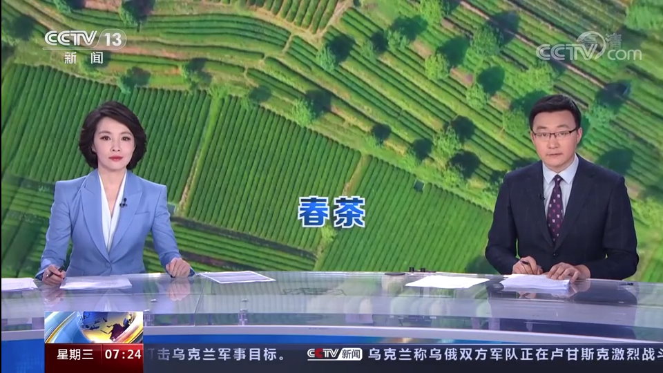 浙茶集團東西部協(xié)作幫扶“白葉一號”工程再獲央視點(diǎn)贊！