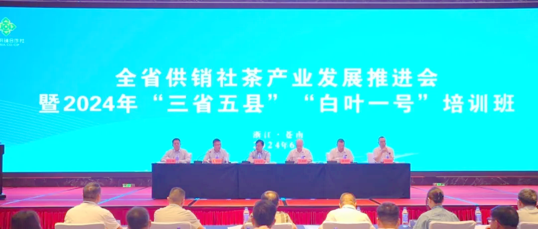 全省供銷(xiāo)社茶產(chǎn)業(yè)發(fā)展推進(jìn)會(huì )暨2024年“三省五縣”“白葉一號”培訓班順利舉辦